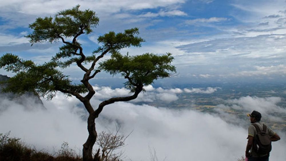 Hill trekking