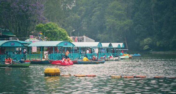 Ooty
